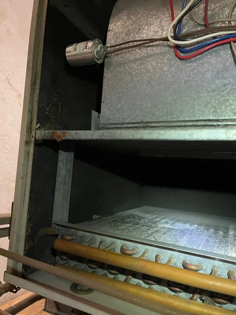 Find mold in ac units 1 768x1024 1