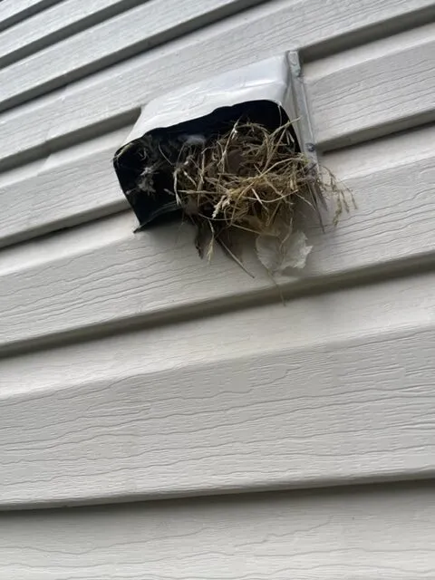 Condo Dryer Vent Cleaning