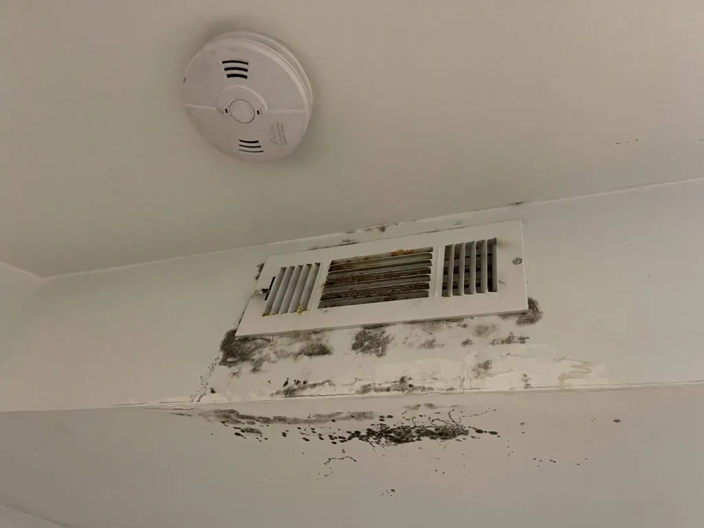 mold at home Can air duct cleaning help