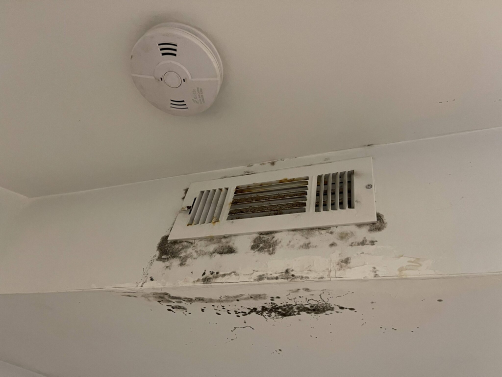 MOLD REMOVAL BOONTON NJ Mold remediation Mold removal service In New Jersey, Connecticut and New York City BenzVac air duct cleaning and dryer vent cleaning 908-294-1501 Mold removal NJ