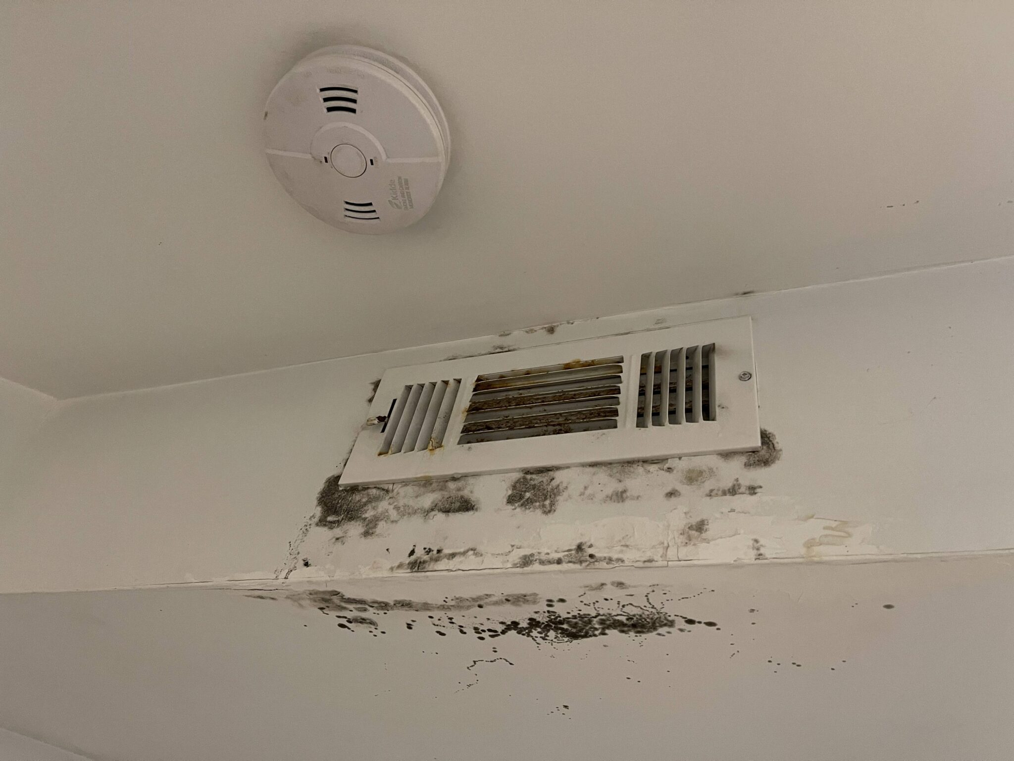 MOLD REMOVAL BOONTON NJ Mold remediation Mold removal service In New Jersey, Connecticut and New York City BenzVac air duct cleaning and dryer vent cleaning 908-294-1501 Mold removal NJ Moisture in Air Ducts, How To Fix This Issue