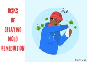 Risks of Delaying Mold Remediation BenzVac How Long Does Mold Remediation Take