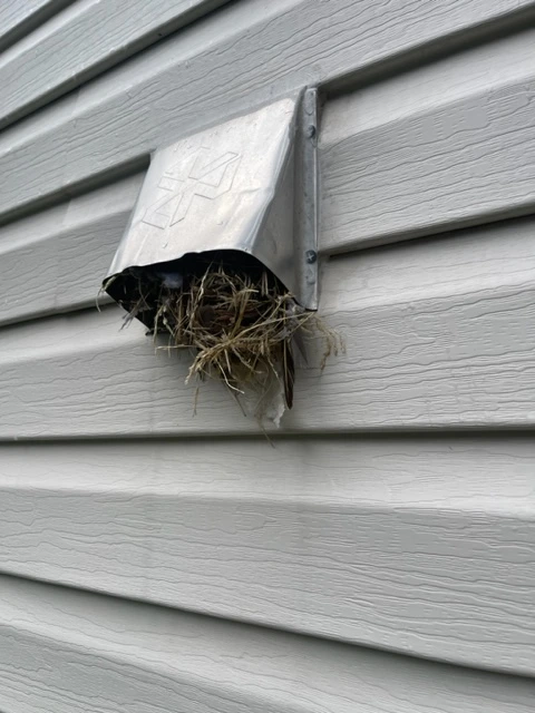 Expert Dryer Duct Cleaner Morristown NJ 07960-1