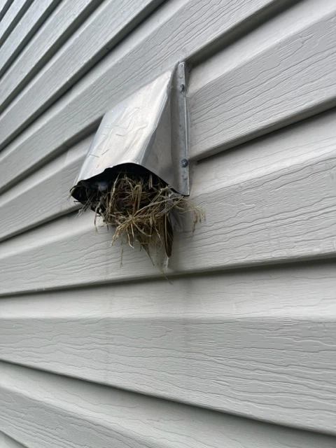 Professional Dryer Vent Cleaning Parsippany NJ 07054