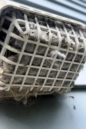moisture control in your home clogged dryer vent with lint
