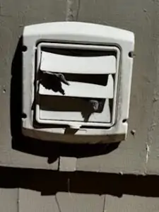 How to Detect a Clogged Dryer Vent 