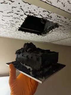 Should You Clean Air Ducts in Your Office