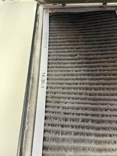 Indoor Air Quality During Peak Allergy Season