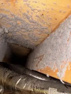DIY Air Duct Cleaning vs. Professional Air Duct Cleaning