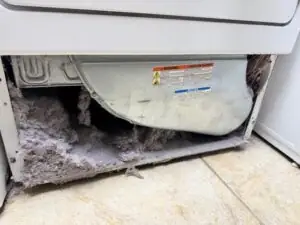 Dust Mite Allergy Why Dryer Duct Cleaning Is Necessary